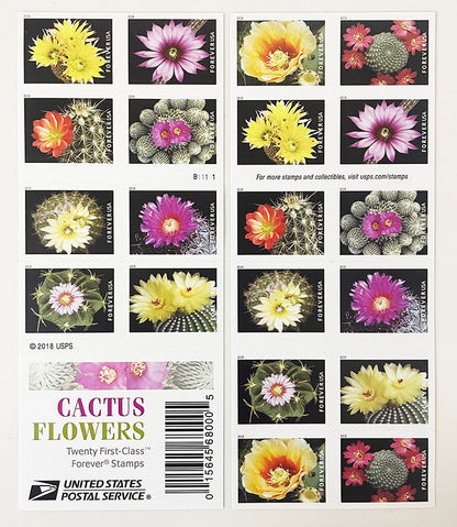 Cactus Flowers Forever First Class Postage Stamps image 0