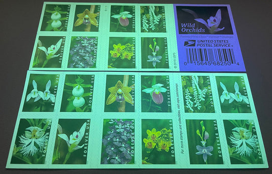 Wild Orchids Forever First Class Postage Stamps image 1